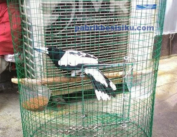 Kawat Loket Kawat Loket PVC 5 ~blog/2022/5/30/whatsapp_image_2022_05_25dfe_at_09_48